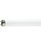 ЛАМПА ЛЮМИНЕСЦЕНТНАЯ TL-D 36W/33-640 1SL/25 928048503351 PHILIPS