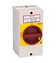 ВЫКЛЮЧАТЕЛЬ-РАЗЪЕДИНИТЕЛЬ MSD25311R System Electric
